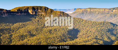 Panoramic Image of Canyons in the Blue Mountains, NSW, Australia Stock Photo