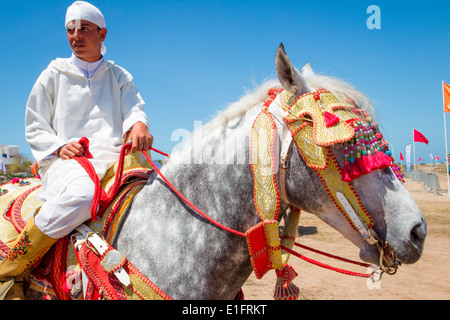 Detail of traditionally decorated Arabian Barb horses performing at a fantasia near Rabat in Morocco.