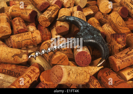 In vino veritas Stock Photo