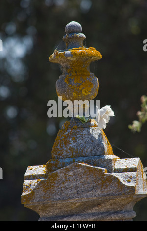 Lichen growing on a grave marker in a cemetery in San Juan Bautista, California Stock Photo