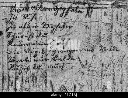 Johann Wolfgang von Goethe 's handwritten manuscript of ...