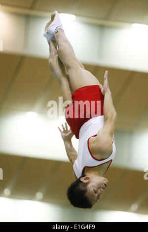 Chiba Port Arena, Chiba, Japan. 3rd June, 2014. Tetsuya Sotomura (JPN), June 3, 2014 - Trampoline : The 3rd Trampoline Asian Championships Men Senior Preliminary at Chiba Port Arena, Chiba, Japan. © AFLO SPORT/Alamy Live News Stock Photo