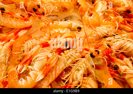 Langoustines in a Spanish food market in Valencia Spain Stock Photo