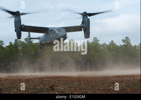 A U.S. Air Force CV-22 Osprey tilt-rotor aircraft from the 8th Special Operations Squadron 'Black Birds' lands during a local t Stock Photo