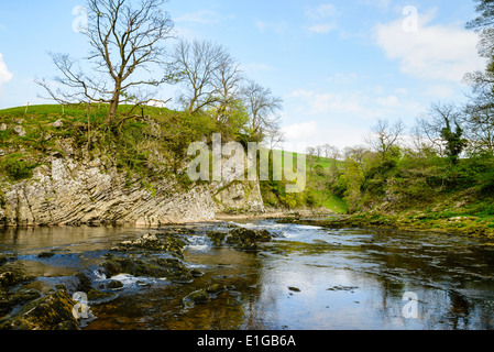 Loup Scar on the River Wharfe near Burnsall in Wharfedale in the Yorkshire Dales National Park Stock Photo