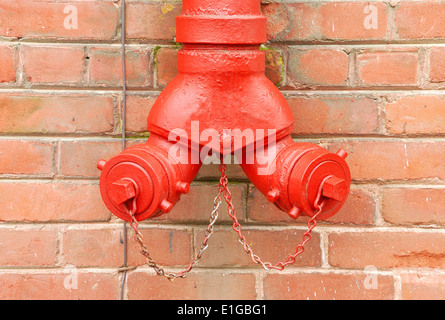 This is a fire department standpipe connection on a old brick building Stock Photo