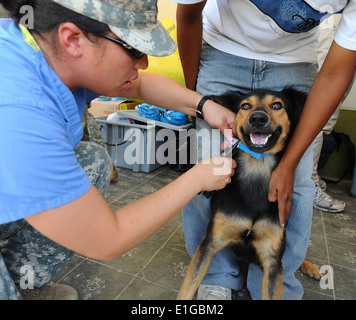 110509-F-CF975-111 - PAITA, Peru - (May 9, 2011) U.S. Army Capt. Rachel Lee, a Veterinarian from New York secures a dog's colla Stock Photo