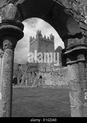 Jerpoint Abbey,Thomastown,Ireland Stock Photo