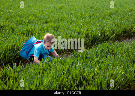 young boy bent down looking at the new crops growing in a field Stock Photo