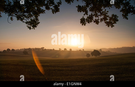 Autumn sunrise at Dorket Head, near Arnold in Nottinghamshire England UK Stock Photo