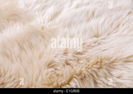 close up texture of fur carpet for background Stock Photo