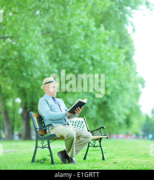 Senior gentleman reading a book in park seated on wooden bench Stock Photo