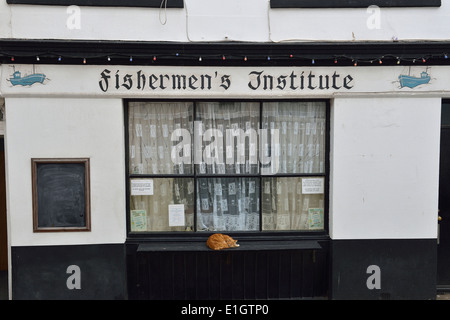 A ginger Tom Cat asleep on the window ledge outside The Fishermen's Institute, All Saints Street, Old Town, Hastings, Sussex Stock Photo