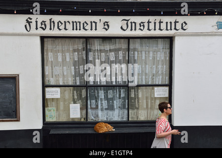 A ginger Tom Cat asleep on the window ledge outside The Fishermen's Institute, All Saints Street, Old Town, Hastings, Sussex Stock Photo