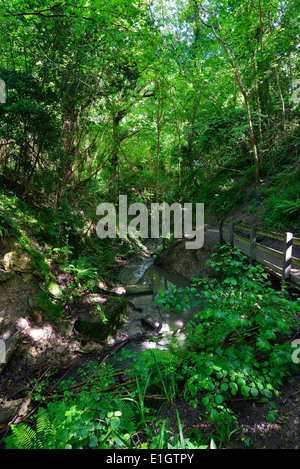 Old Roar Gill valley, Alexandra Park, Hastings, East Sussex Stock Photo