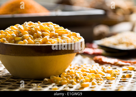Corn kernels Stock Photo