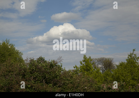 Distinctive cloud over head from Prospect Park, Brooklyn, NY. Stock Photo