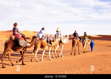 Camel caravan going through the sand dunes in the Sahara Desert, Morocco Stock Photo