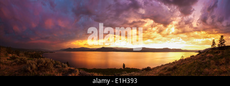 Panoramic view of a vineyard, Okanagan Lake, Summerland, Naramata, British Columbia, Canada Stock Photo