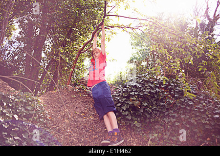 Boy hanging from tree Stock Photo