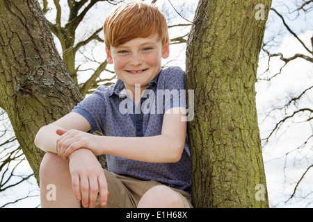 Portrait of boy sitting in tree Stock Photo