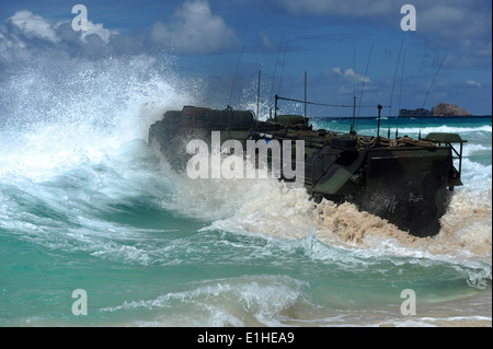 U.S. Marines with a Combat Assault Company launch assault amphibious vehicles into the ocean off the northern coast of Oahu, Ha Stock Photo