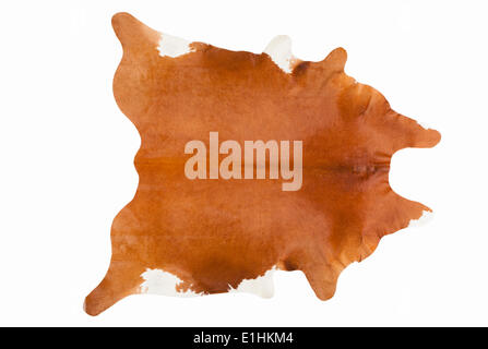 Furry Russet Pelage as a Rug Stock Photo