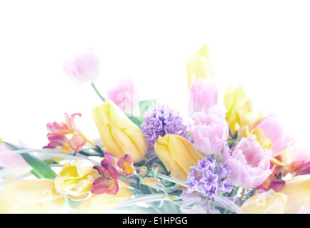 Collage postcard background mix from the 8 March spring flowers. Isolated on white Stock Photo