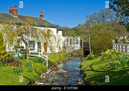 Traditional white painted cottages by a stream in Spring in Caldbeck village, Cumbria, Lake District National Park England Uk Stock Photo