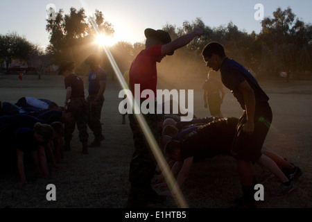 U.S. Marine Corps Drill Instructors from Marine Corps Recruit Depots San Diego and Parris Island, S.C., physically train Marine Stock Photo
