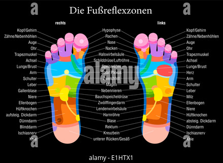 Foot reflexology chart with accurate description (german labeling!) of the corresponding internal organs and body parts. Stock Photo