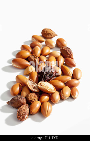 Argan nuts and leaves from Argan tree, Argania spinosa Stock Photo