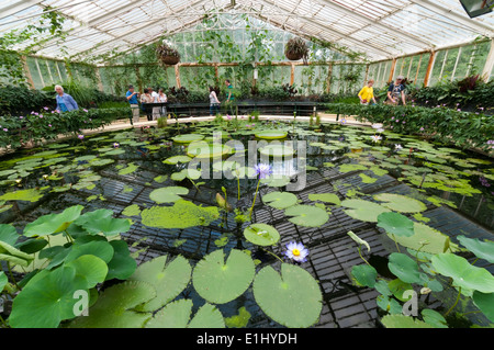 The Waterlily House at Kew Gardens, London. Stock Photo