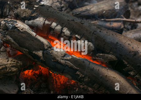 Burning wood and flames on a camp fire. Gradually being reduced to ashes. Fire concept, survival skills, red flames. Stock Photo