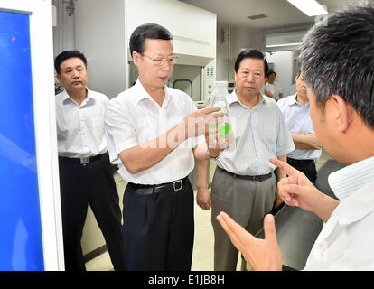 Beijing, China. 5th June, 2014. Chinese Vice Premier Zhang Gaoli (2nd L) learns about research progress at the State Key Laboratory of Environmental Criteria and Risk Assessment (SKLECRA) of the Chinese Research Academy of environmental Sciences (CRAES) in Beijing, capital of China, June 5, 2014. Zhang Gaoli inspected CRAES and China National Environmental Monitoring Center (CNEMC) on Thursday, which is also the World Environment Day. Credit:  Li Tao/Xinhua/Alamy Live News Stock Photo