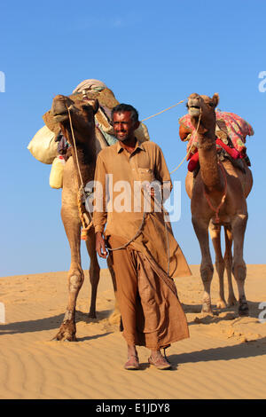 camels in desert Stock Photo