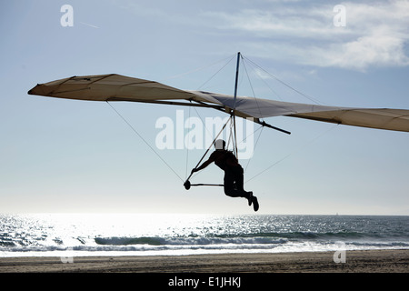 Hang glider pilot landing on beach Stock Photo