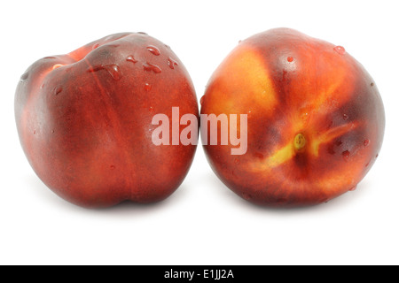 Two wet nectarines close-up on the white background Stock Photo