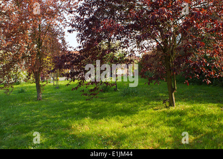 Sunny Easter Monday morning  captures  best of this archetypeally picturesque English town; trees come into bloom Stock Photo