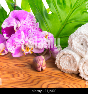 Spa still life with unusual lilac orchid flowers, phalaenopsis and white towel on root wooden background Stock Photo