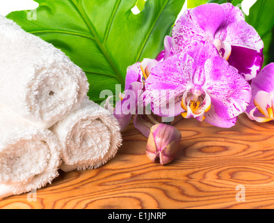 Spa still life with unusual lilac orchid flowers, phalaenopsis and white towel on root wooden background Stock Photo