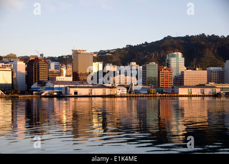 Office buildings on waterfront at dawn, Wellington, North Island, New Zealand