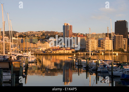 Office buildings on waterfront at dawn, Wellington, North Island, New Zealand, Yachts moored at Chaffers Marina in foreground Office buildings on waterfront at dawn, Wellington, North Island, New Zealand, Yachts moored at Chaffers Marina in foreground