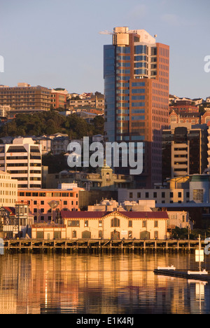 Office buildings on waterfront at dawn, Wellington, North Island, New Zealand, Office buildings on waterfront at dawn, Wellington, North Island, New Zealand,