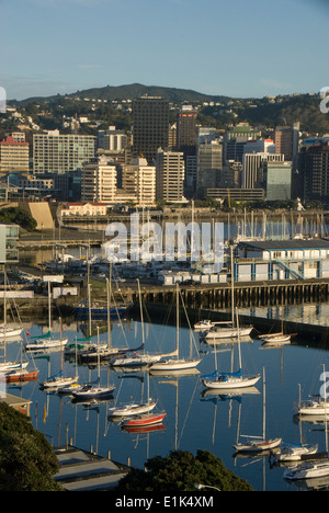 Office buildings on waterfront at dawn, Wellington, North Island, New Zealand, Yachts moored at Boat Harbour in foreground Office buildings on waterfront at dawn, Wellington, North Island, New Zealand, Yachts moored at Boat Harbour in foreground