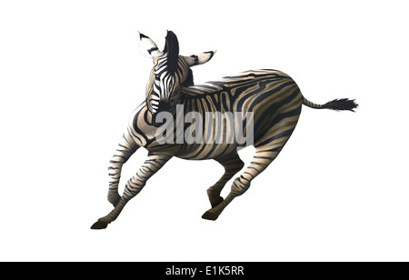 Computer artwork of a galloping zebra (Equus sp.) Zebras are wild horses that inhabit the savannahs of Africa and graze Stock Photo