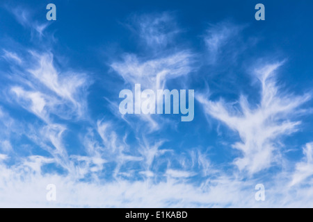 Cirrus cloud Plumes of cirrus cloud in the sky Depending on their shape these clouds are also known as 'Mare's Tails' or Stock Photo