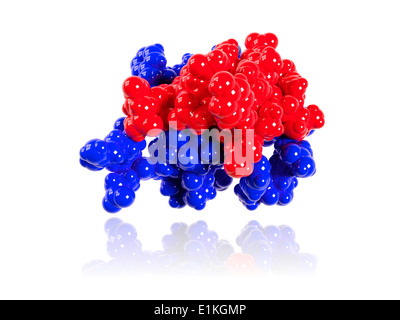 Insulin molecule Computer model showing the structure of a molecule of the hormone insulin Insulin consists of two peptide Stock Photo