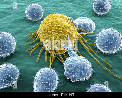 Artwork of lymphocytes attacking a cancer cell. Stock Photo