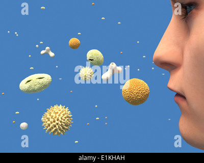 Artwork of pollen that causes hay fever. Stock Photo